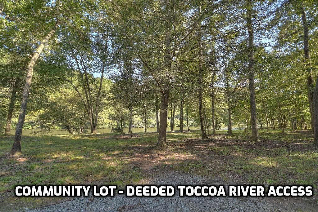 LOT 5 Riverbend Mnr Blue Ridge, GA 30513 - Thumbnail 4