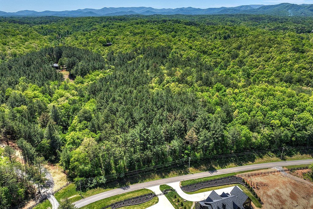 LOT 4 Grassy Creek Rd Copperhill, TN 37317 - Thumbnail 4