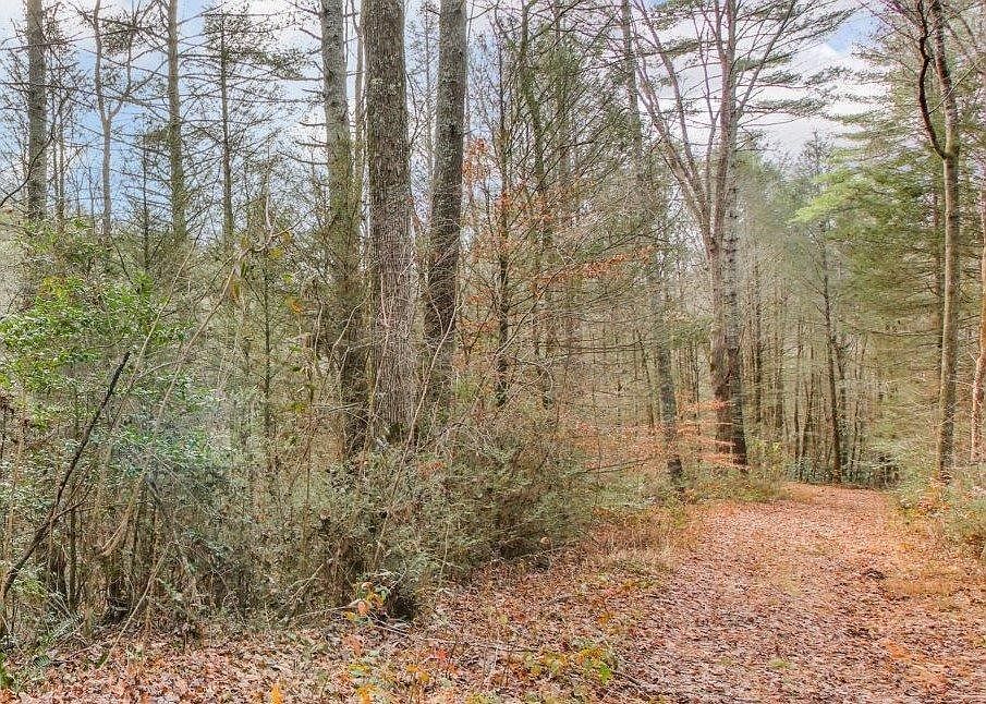 LOT 2 Laurel Overlook Rd Ellijay, GA 30540 - Thumbnail 4