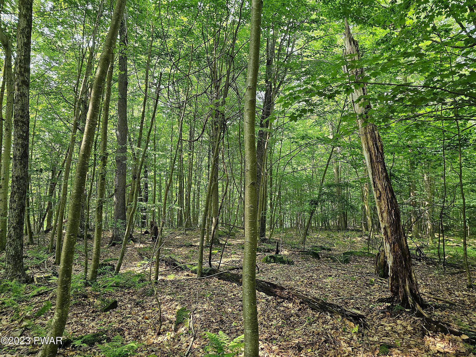 61 Rock Run Ln Equinunk, PA 18417 - Thumbnail 4