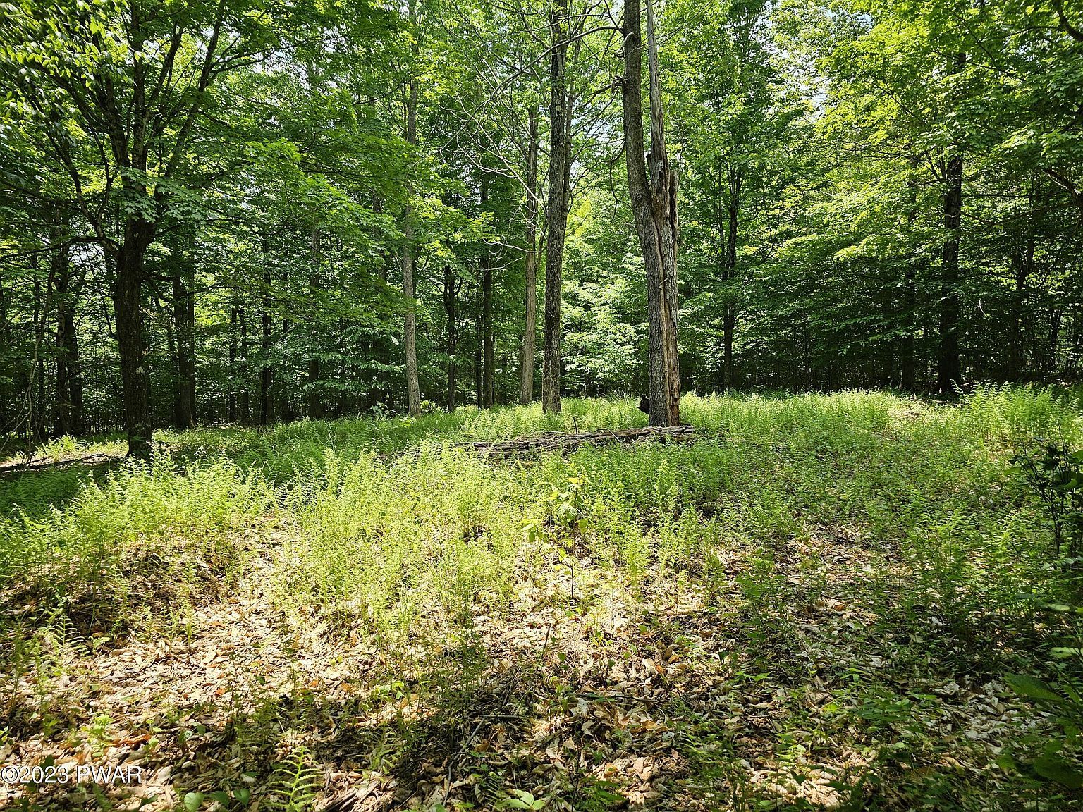 69 Stonegate Rd Equinunk, PA 18417 - Thumbnail 4