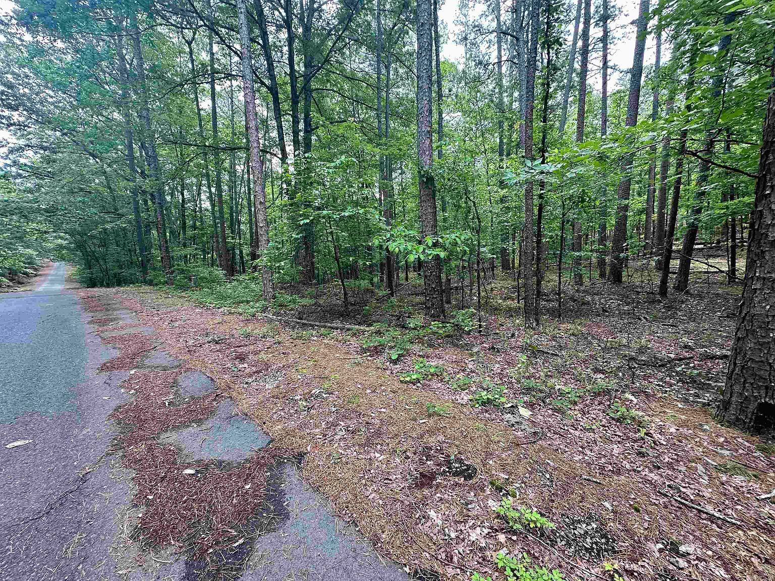 4 Modesto Way, Hot Springs Village, AR, 71909 - Thumbnail 4