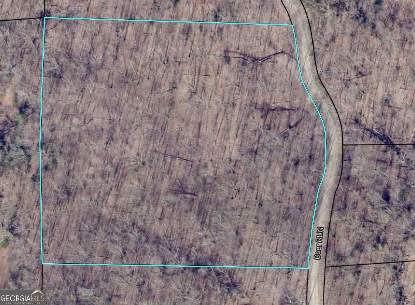 0 Deer Run Morganton, GA 30560  | Land/Lot
