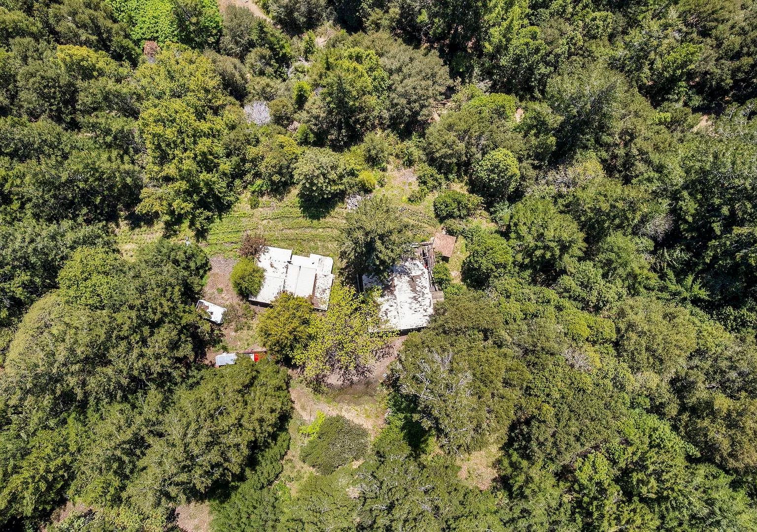 1 Panther Gap Rd Honeydew, CA 95545 - Thumbnail 4