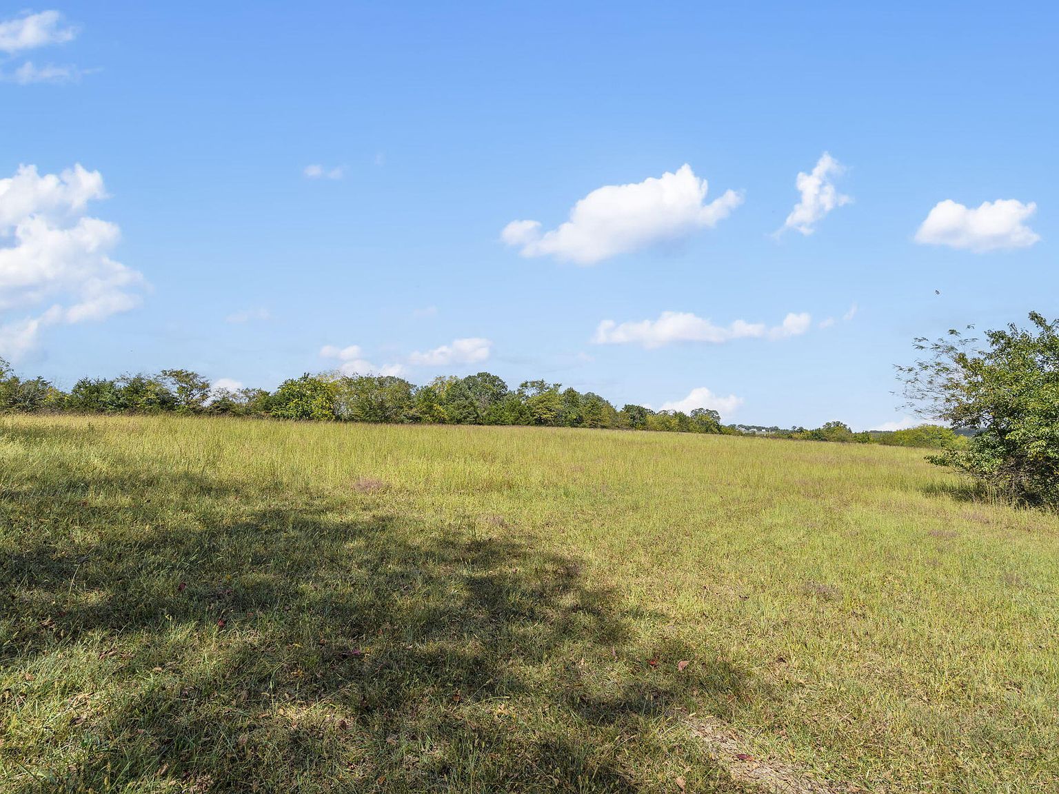 543-1 Wild Rose Loop #A Strafford, MO 65757 - Thumbnail 4