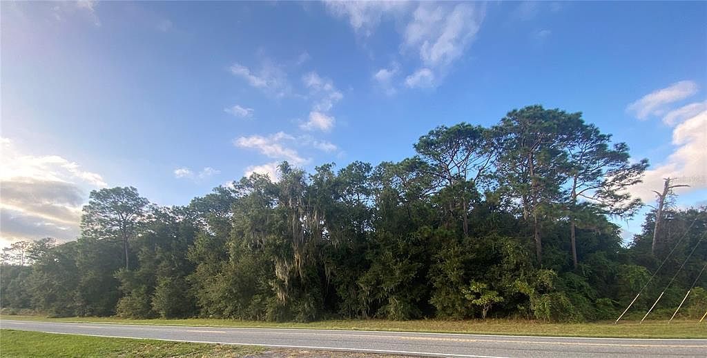 0 W County Road 466 Oxford, FL 34484  | Land/Lot