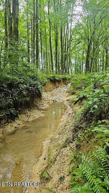 W Wd White Rd Sparta, TN 38583 - Thumbnail 4