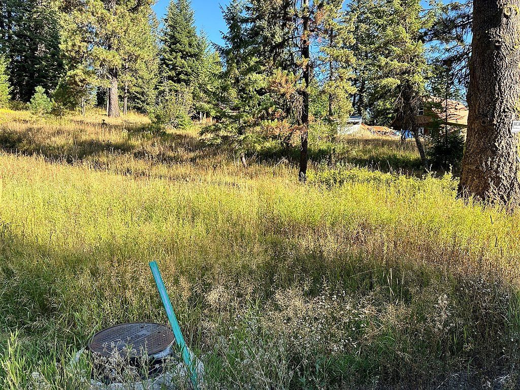 20 Andy Ln Donnelly, ID 83615 - Thumbnail 4