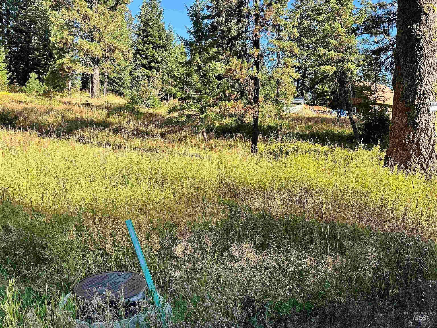 20 Andy, McCall, ID, 83638 - Thumbnail 4