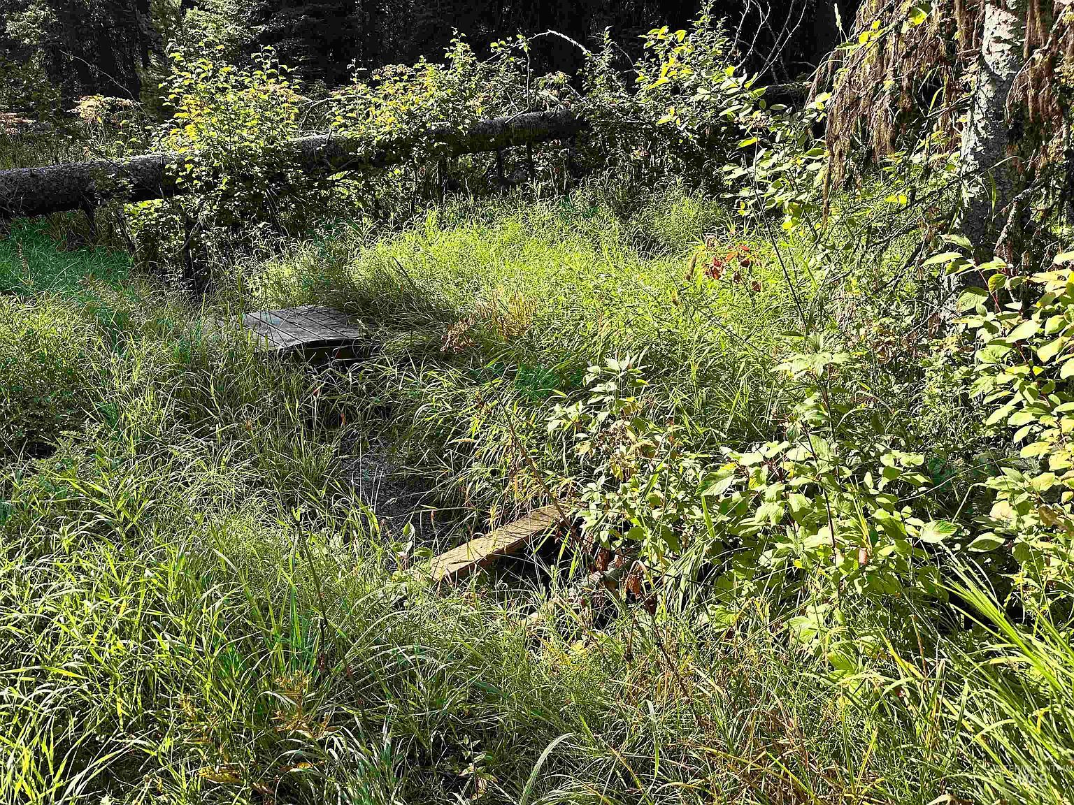 17 Andy Ln Donnelly, ID 83615 - Thumbnail 4