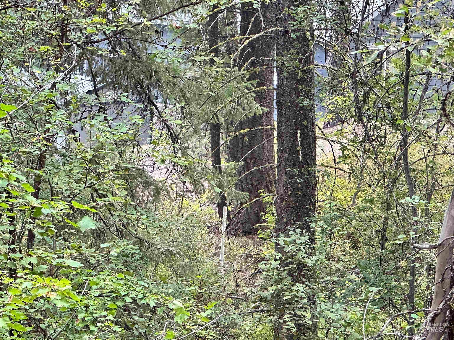 515 Collier View Rd Cascade, ID 83611 - Thumbnail 4