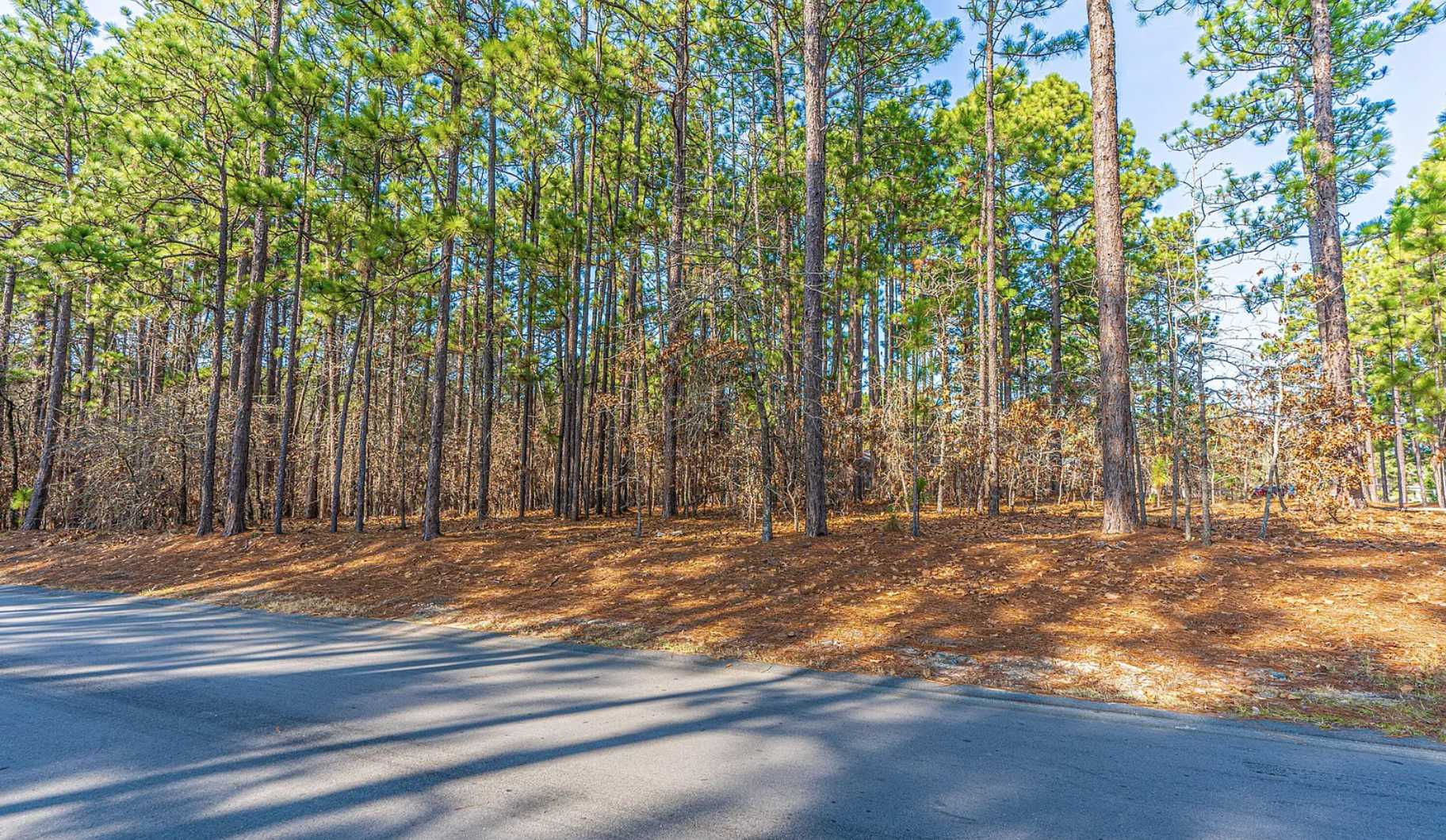 138 Carrington Square, West End, NC, USA, 27376 - Thumbnail 5