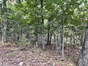 TBD Pine Hollow Road,, Protem, MO, 65733 | Land/Lot