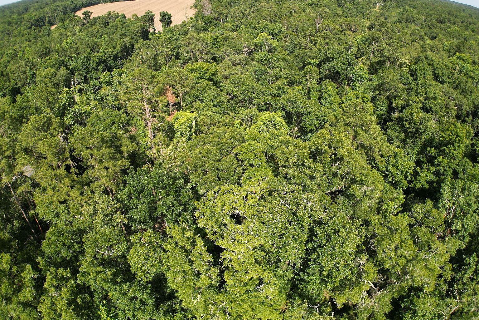 0 NW 31st Ln LOT 15 Jennings, FL 32053 - Thumbnail 4