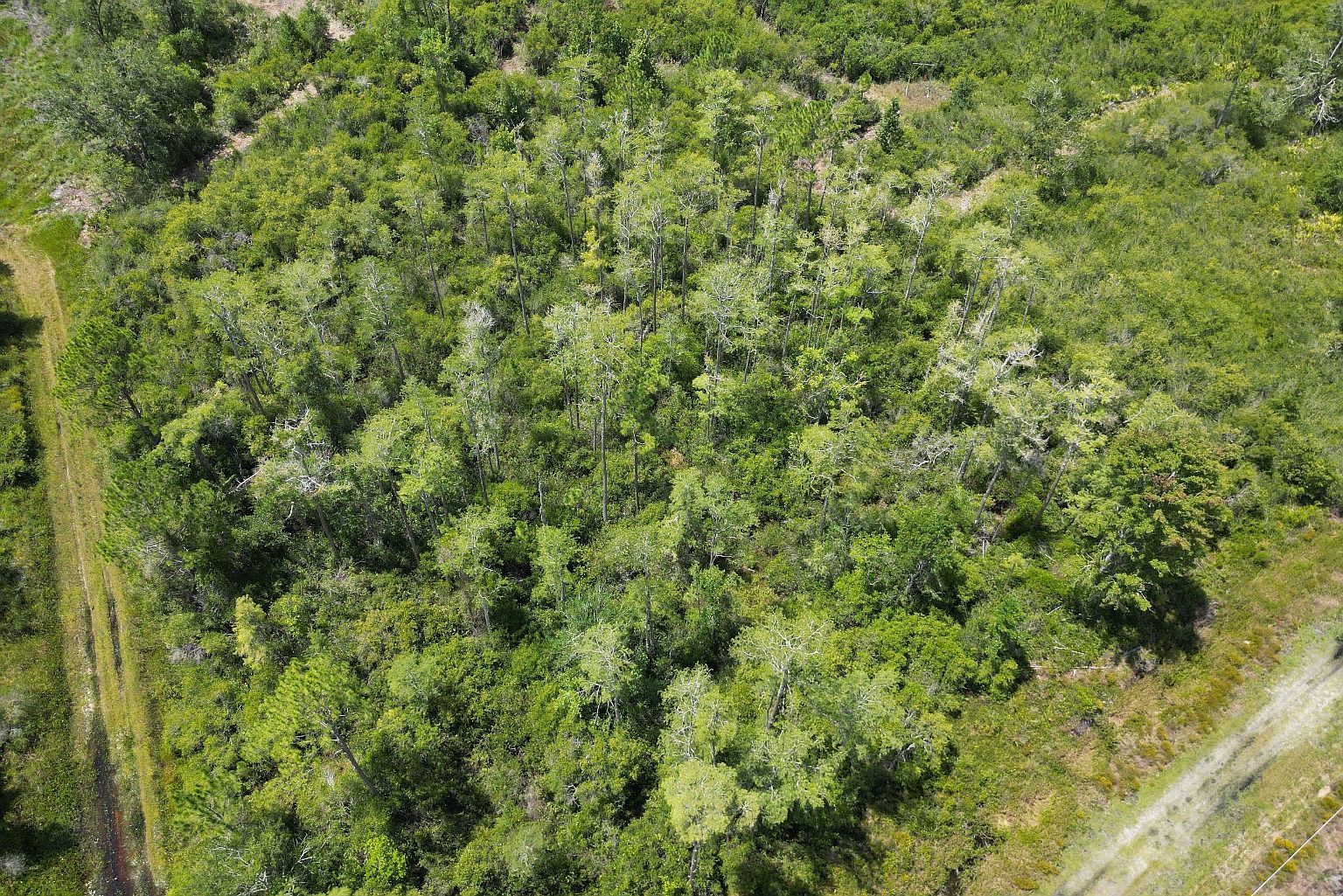 Florida Power Esmnt, Perry, FL, 32348 - Thumbnail 4