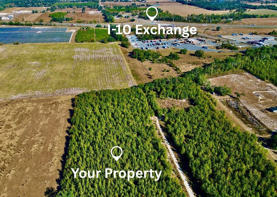 217 SE Homestead Way Madison, FL 32340 - Thumbnail 4