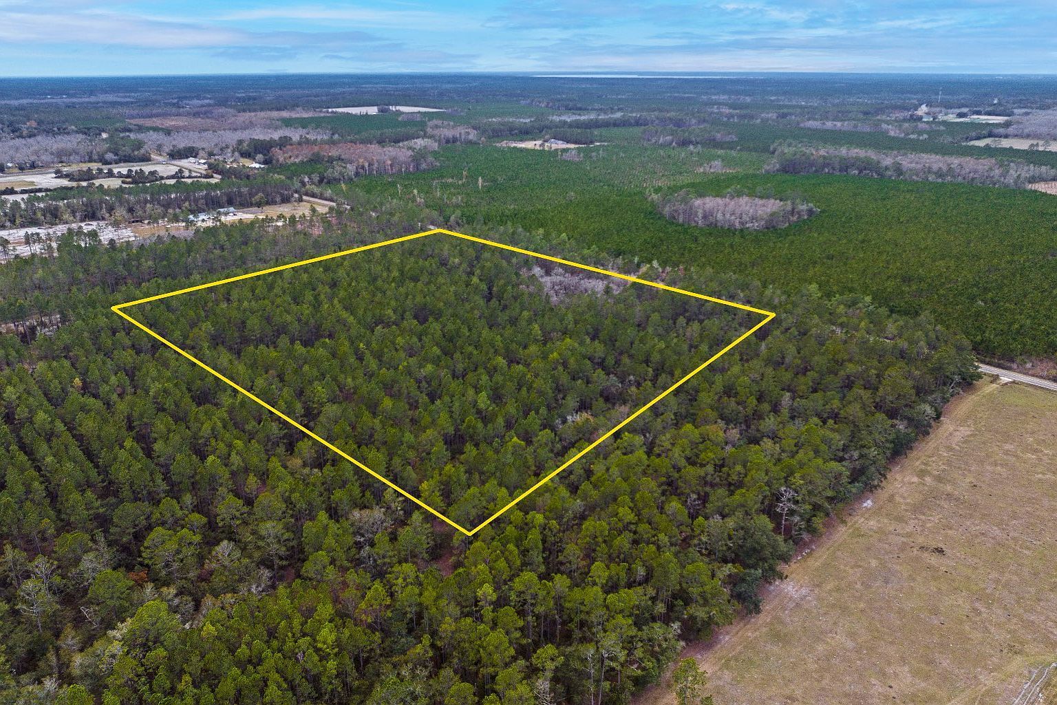 NE County Road 1469 Earleton, FL 32631 - Thumbnail 4