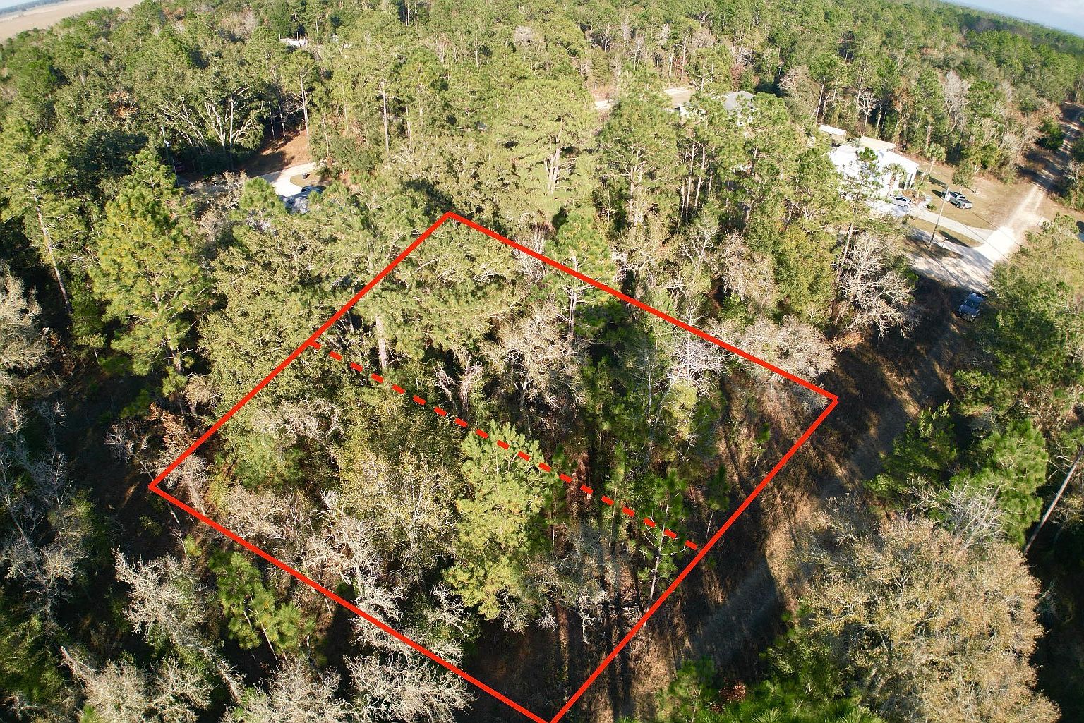 NE 16th Ln Williston, FL 32696 - Thumbnail 4