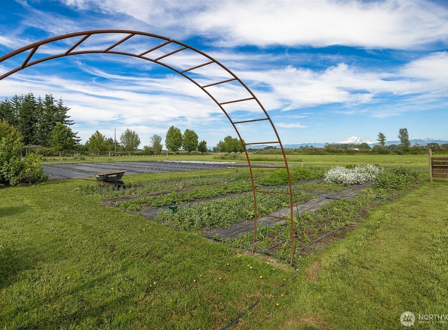 5295 S Church Rd Ferndale, WA 98248 - Thumbnail 4