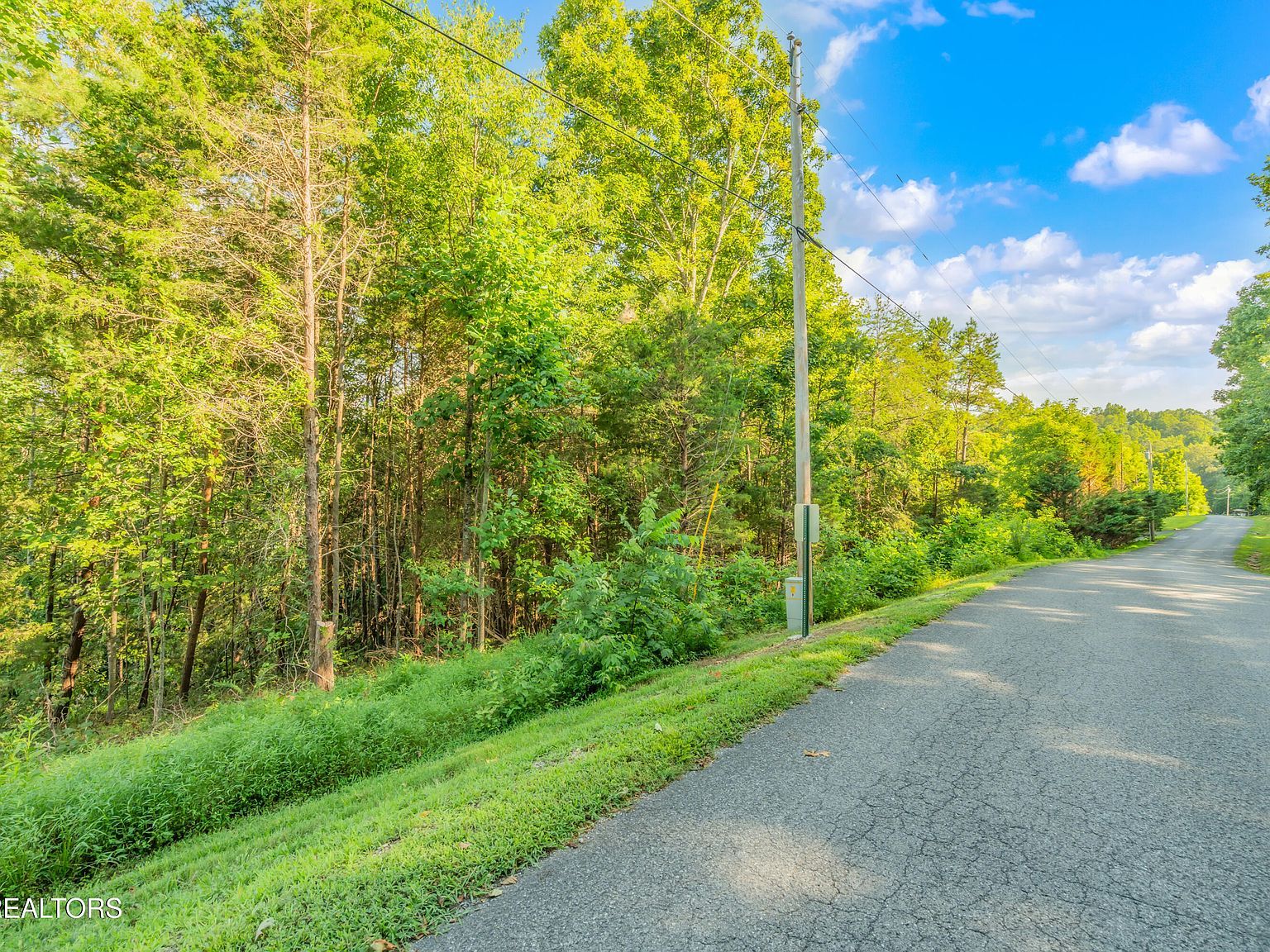 6 Shanghai Landing Ln La Follette, TN 37766 - Thumbnail 4