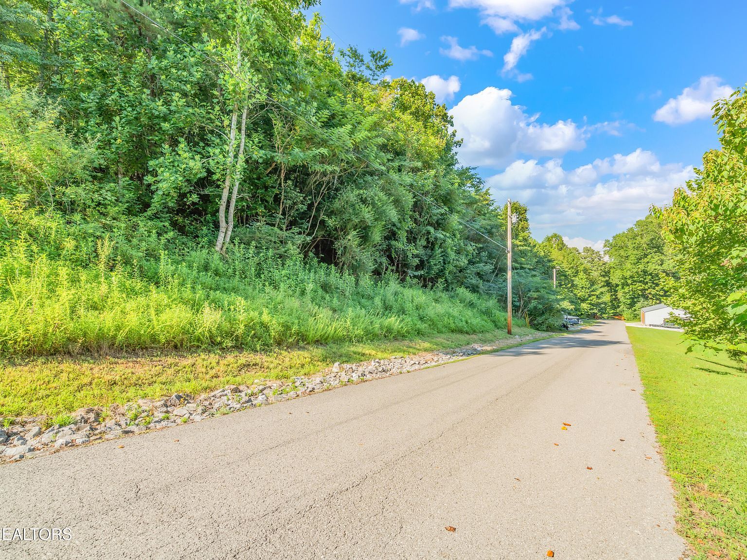 LOT 2 Shanghai Landing Ln La Follette, TN 37766 - Thumbnail 4