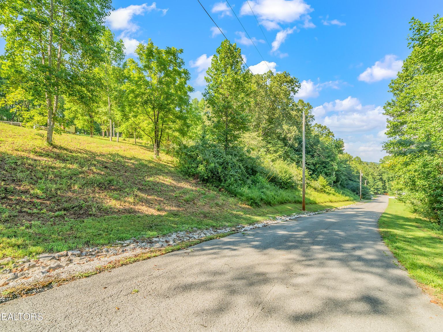 LOT 1 Shanghai Landing Ln La Follette, TN 37766 - Thumbnail 4