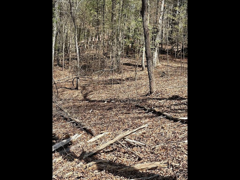 Township Road 2 E Ellijay, GA 30536 - Thumbnail 4