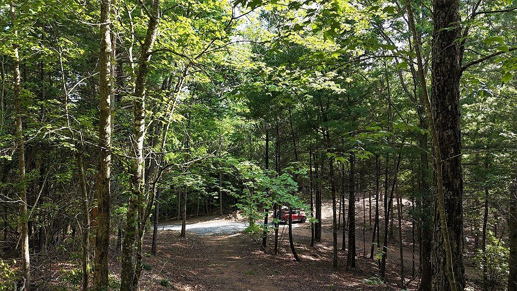 Township Road B E Ellijay, GA 30536 - Thumbnail 4