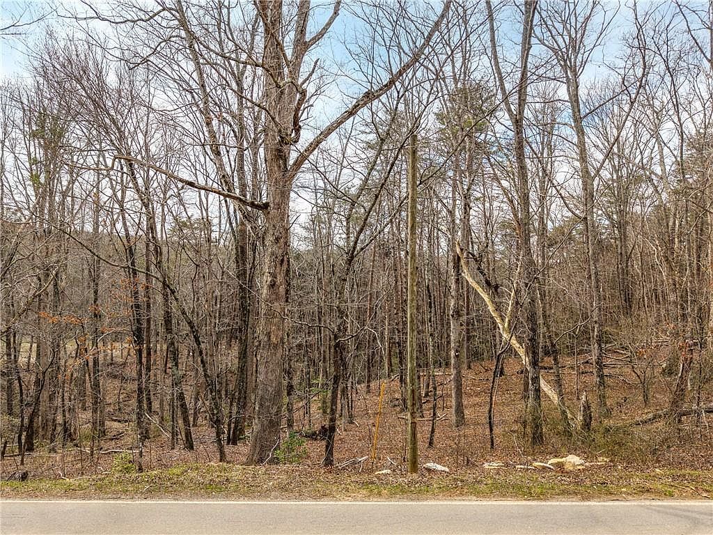 LOT 167 Henderson Mountain Rd Jasper, GA 30143 - Thumbnail 4