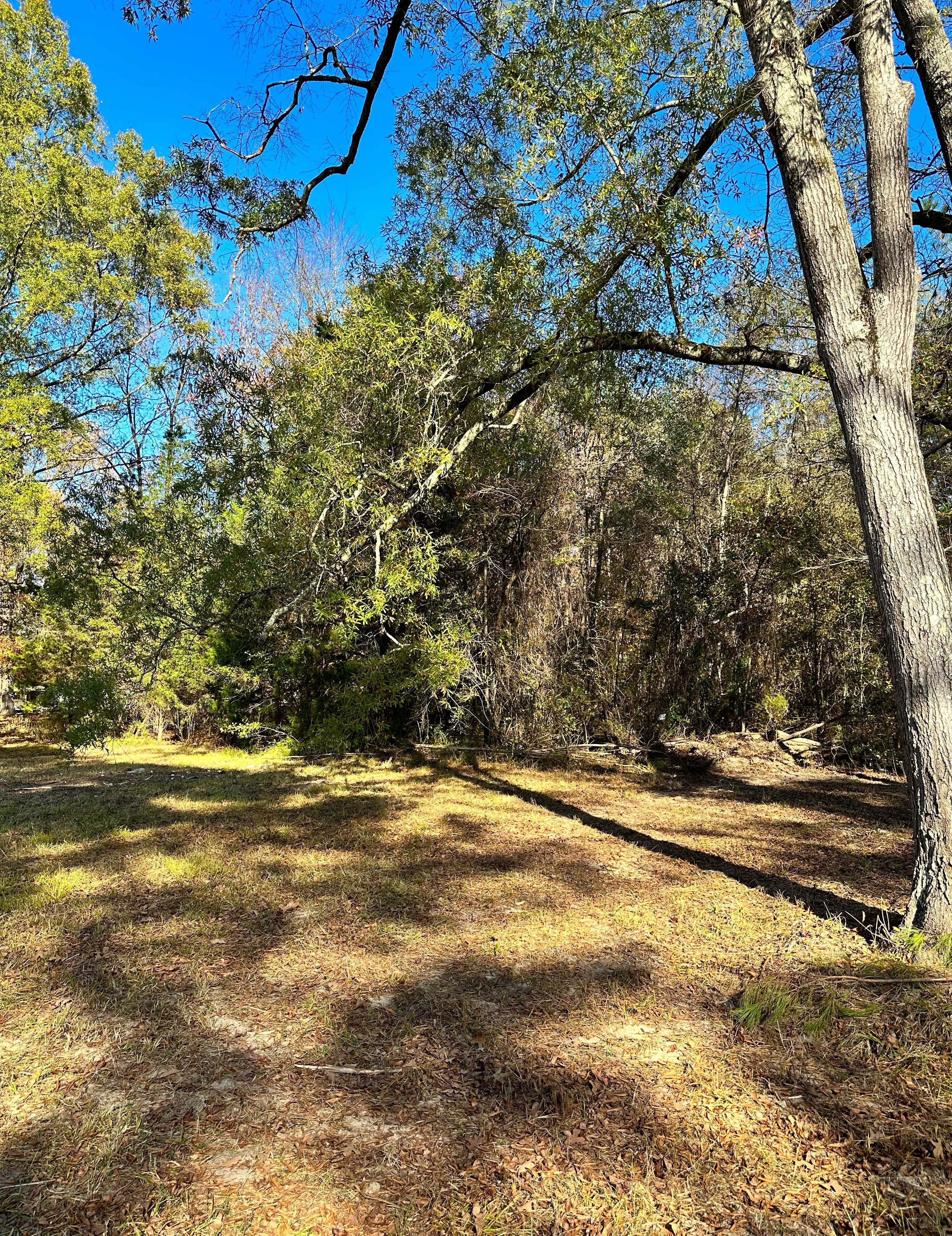 1126 Sutton Bridge Road, Rainbow City, AL, USA, 35906 - Thumbnail 4