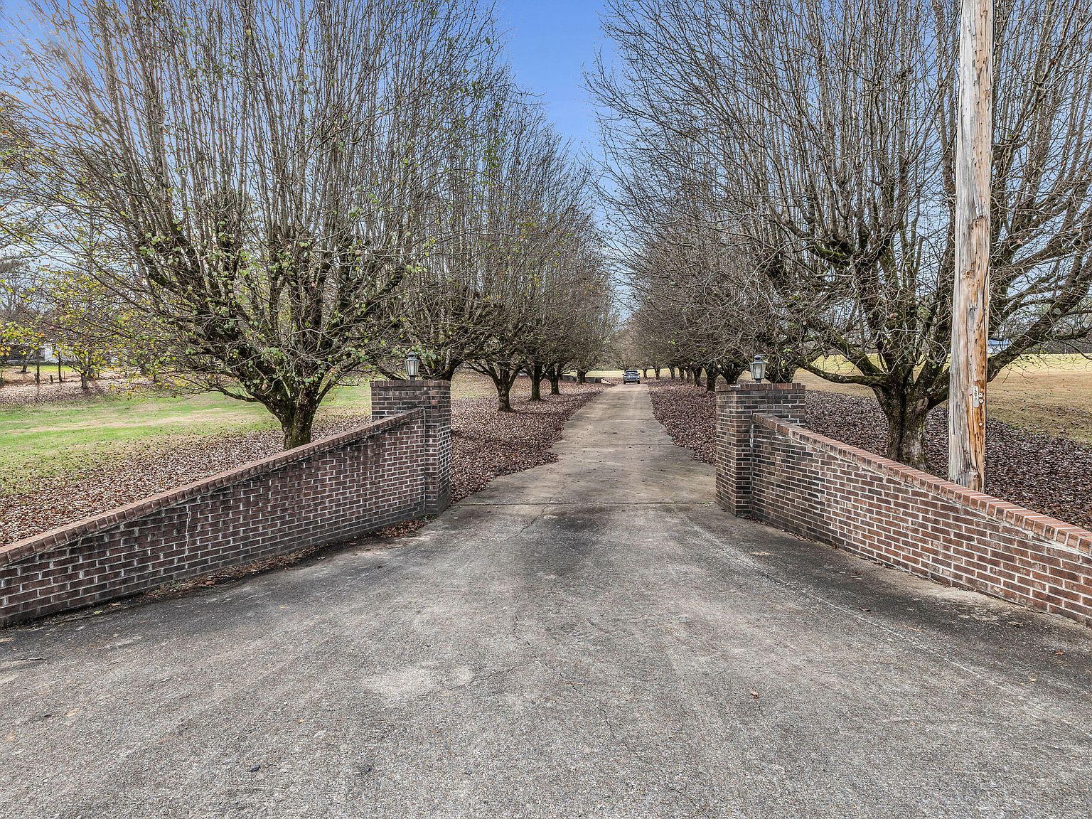 932 Johnson Rd Chickamauga, GA 30707 - Thumbnail 4