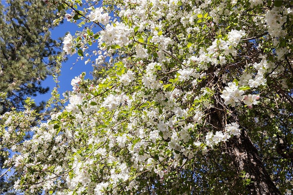 615 Elysian Blvd Big Bear City, CA 92314 - Thumbnail 4