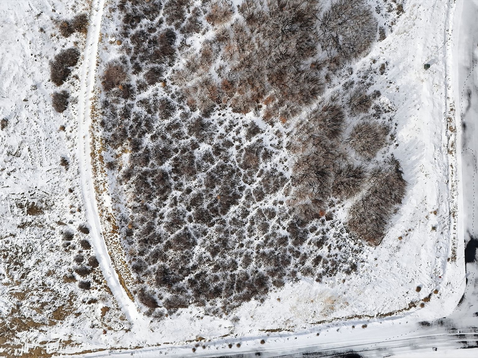 569 N Crestview Dr Garden City, UT 84028 - Thumbnail 4