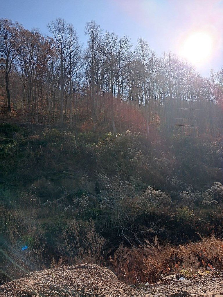 0 Highway 343 Mc Roberts, KY 41835 - Thumbnail 4