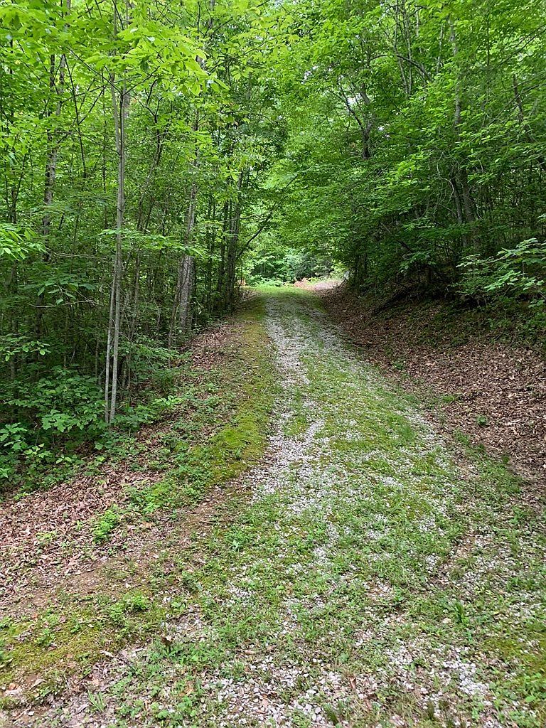 0 Barton Ln #1 Viper, KY 41774 - Thumbnail 4