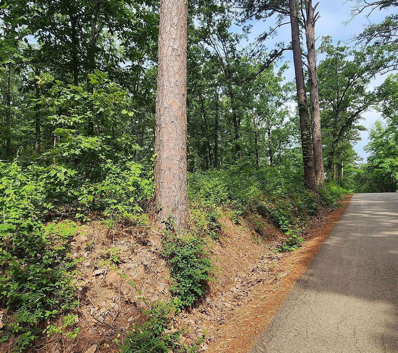 Tbd Bobwhite Rd Gilmer, TX 75645 - Thumbnail 4