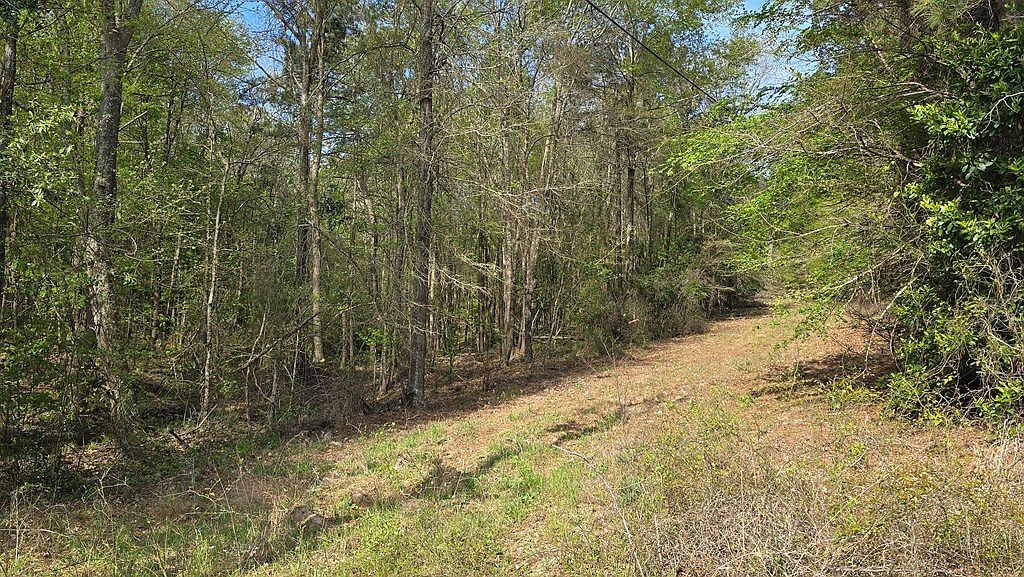 Spanish Bluff Rd Nacogdoches, TX 75964 - Thumbnail 4