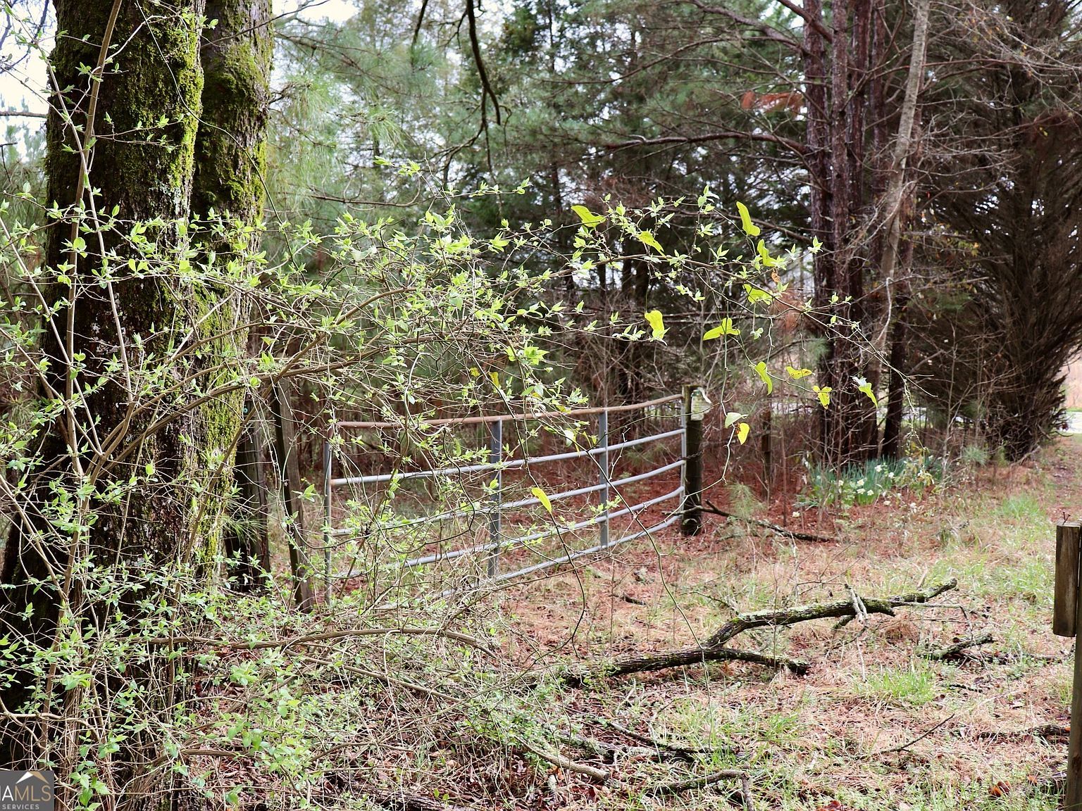 0 Rico Rd Chattahoochee Hills, GA 30268 - Thumbnail 4