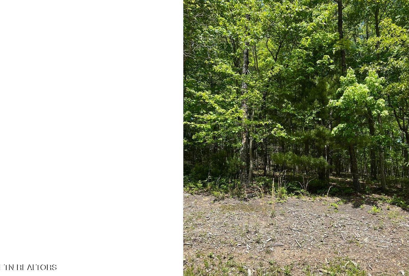 31 Benwick Ct Fairfield Glade, TN 38558 | Land/Lot