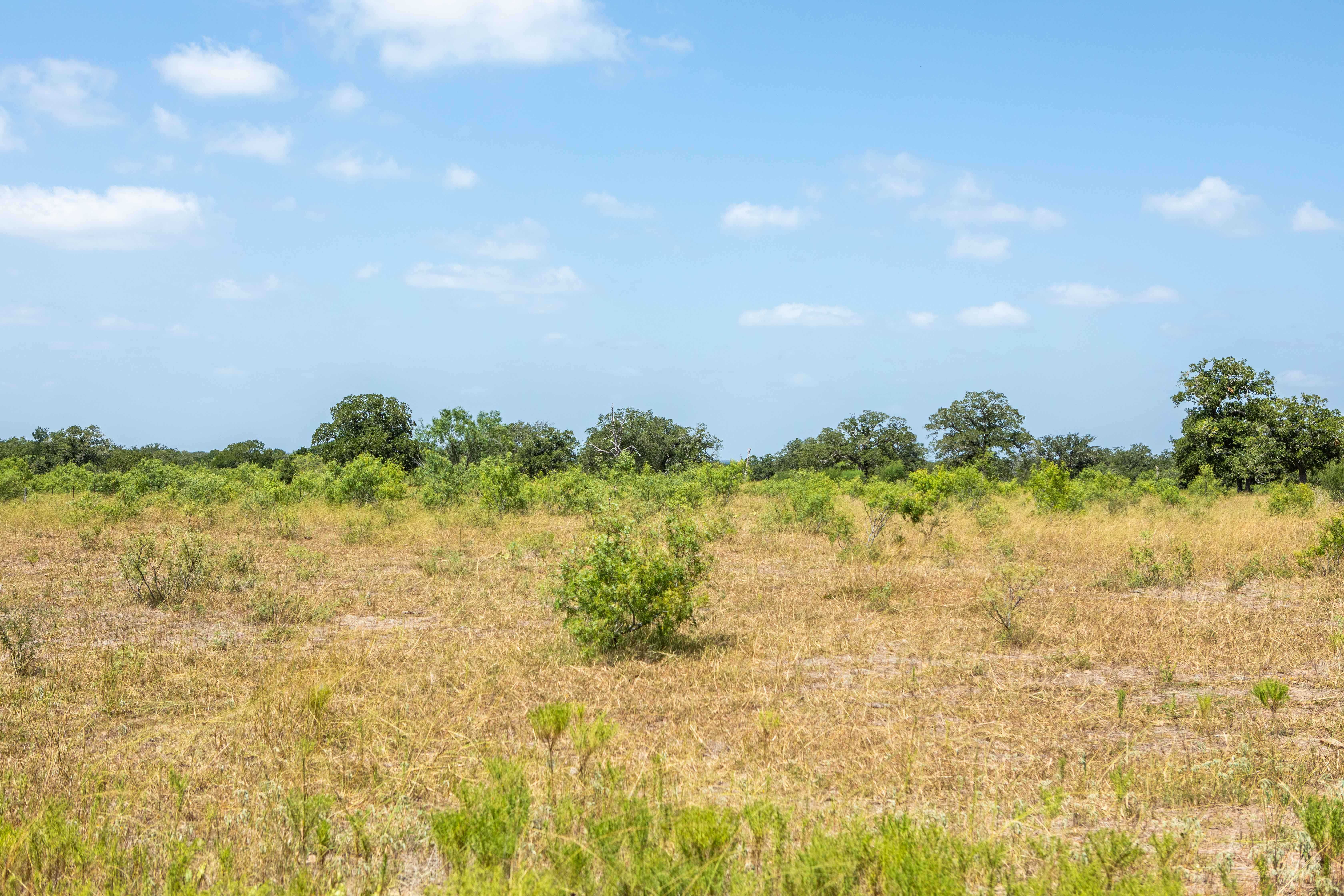 County Road 515, Waelder, TX, 78959 - Thumbnail 4