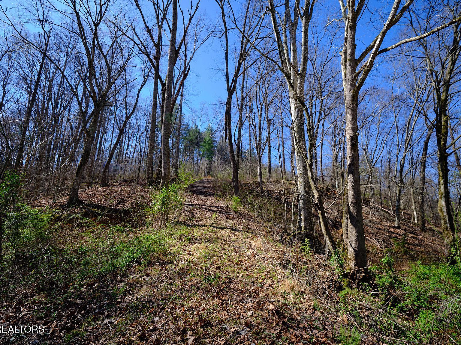 3212 Long Hollow Rd Powell, TN 37849 - Thumbnail 4