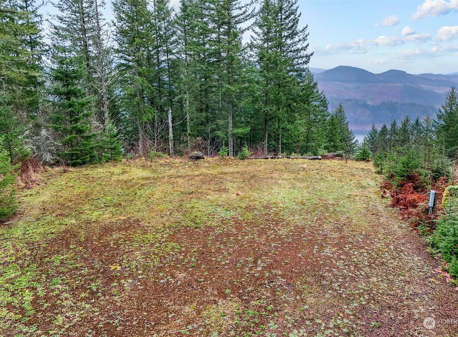 143 Meadow Ridge Way Mossyrock, WA 98564 - Thumbnail 4