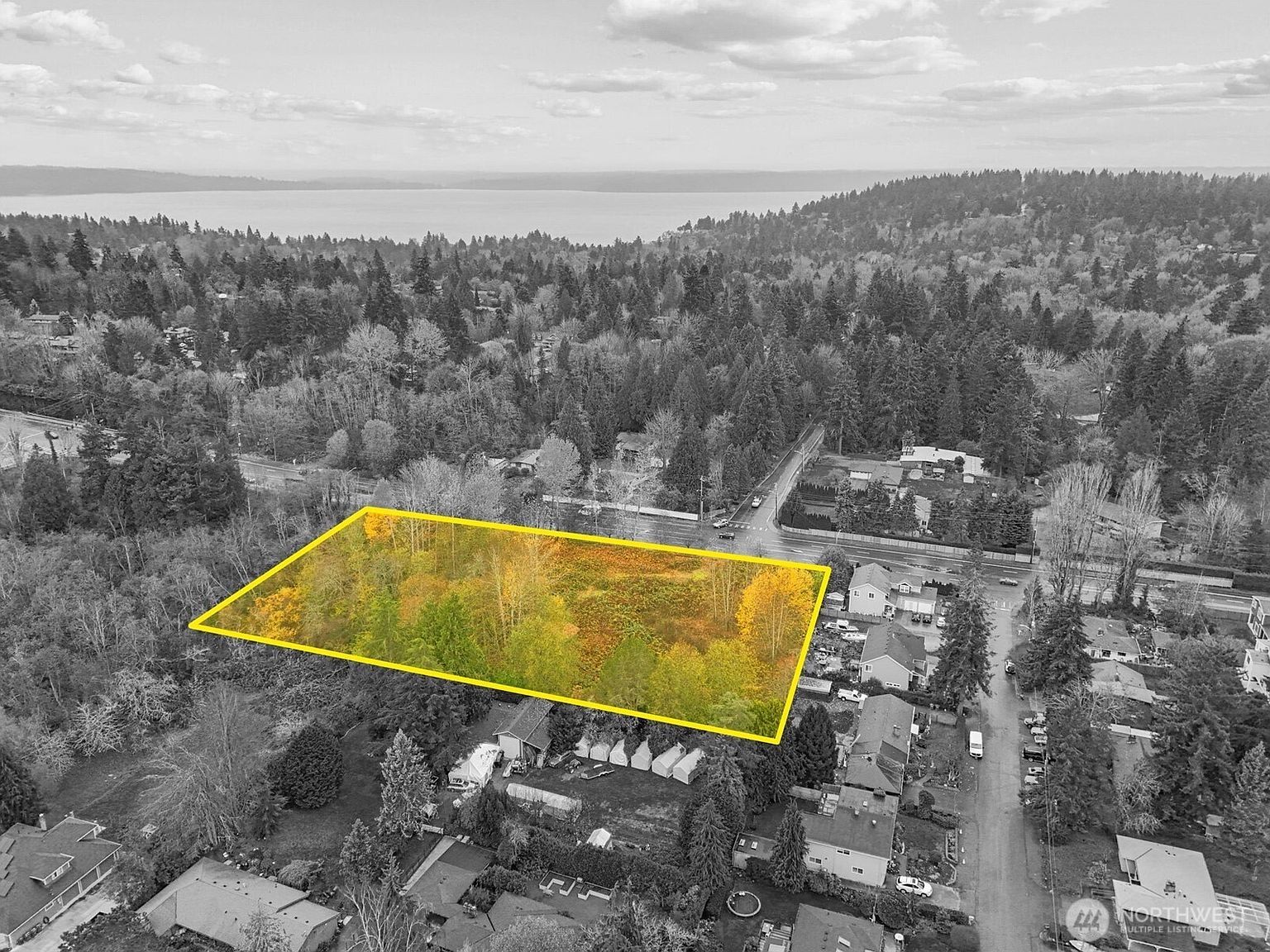 170 Xx 1st Ave Seattle, WA 98166 - Thumbnail 4