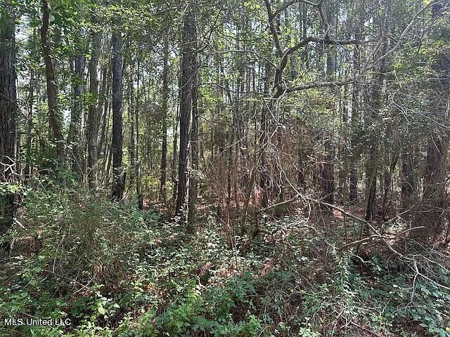 0 Duke St #4 Pass Christian, MS 39571 - Thumbnail 4