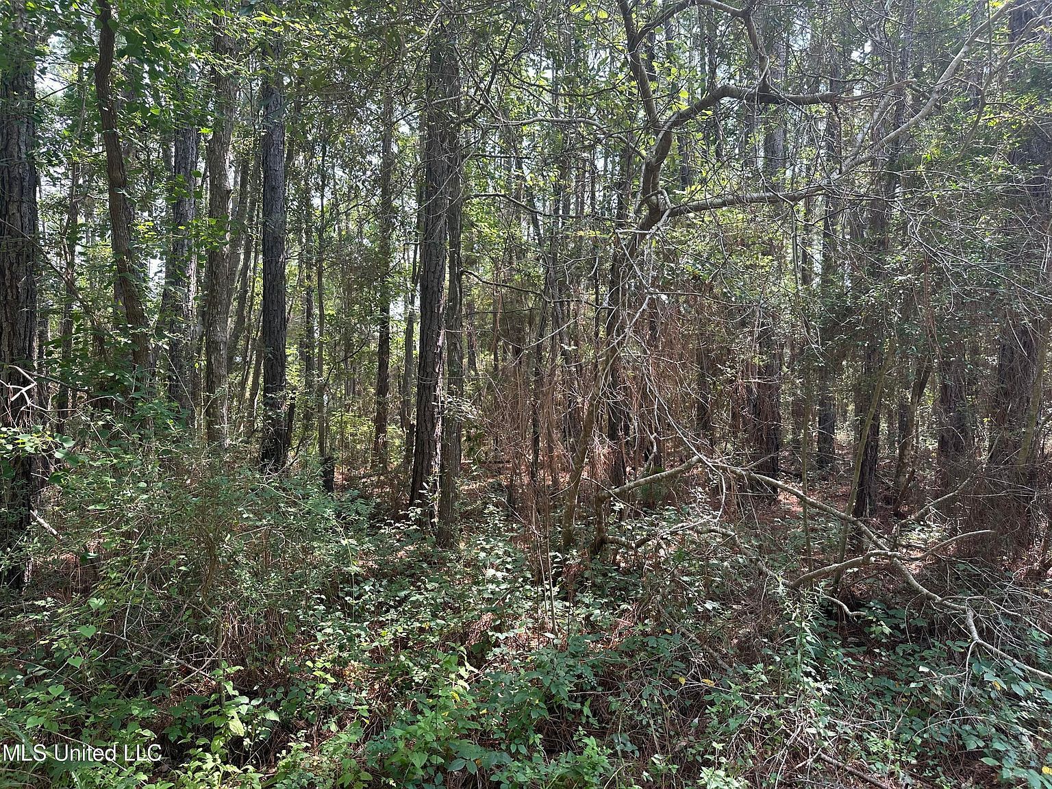 0 Duke St #3 Pass Christian, MS 39571  | Land/Lot