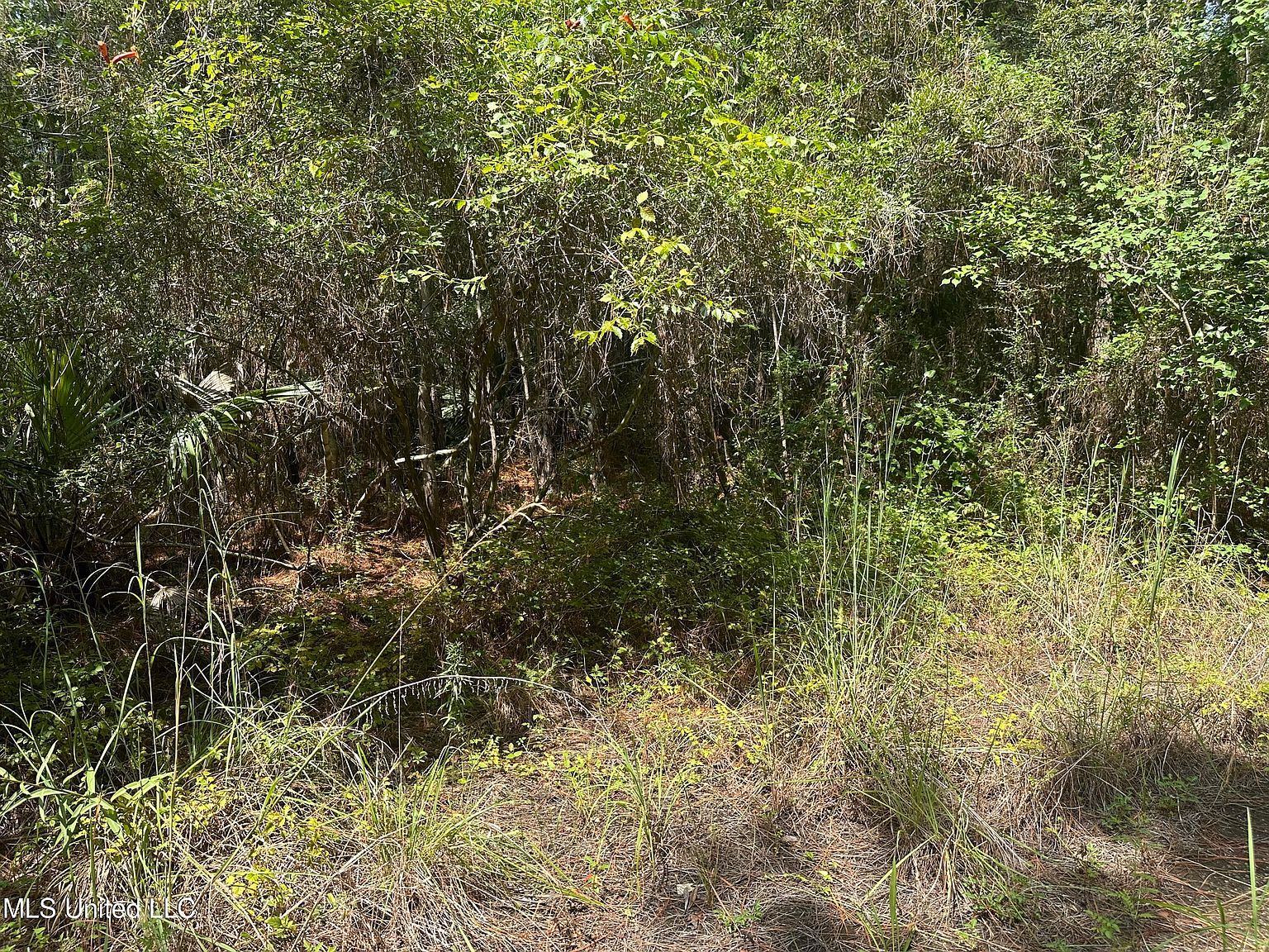 0 Duke St Pass Christian, MS 39571  | Land/Lot