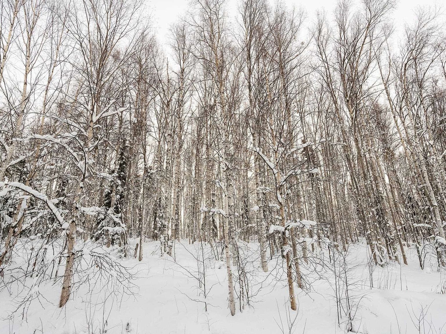 Nhn Chena Ridge Rd Fairbanks, AK 99709 - Thumbnail 4