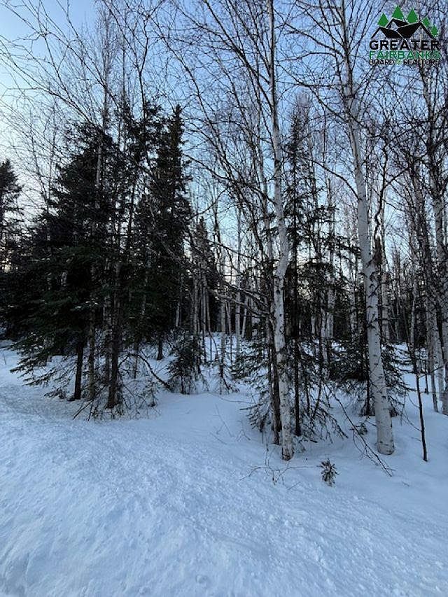 Nhn Orchid Dr Salcha, AK 99714 - Thumbnail 4