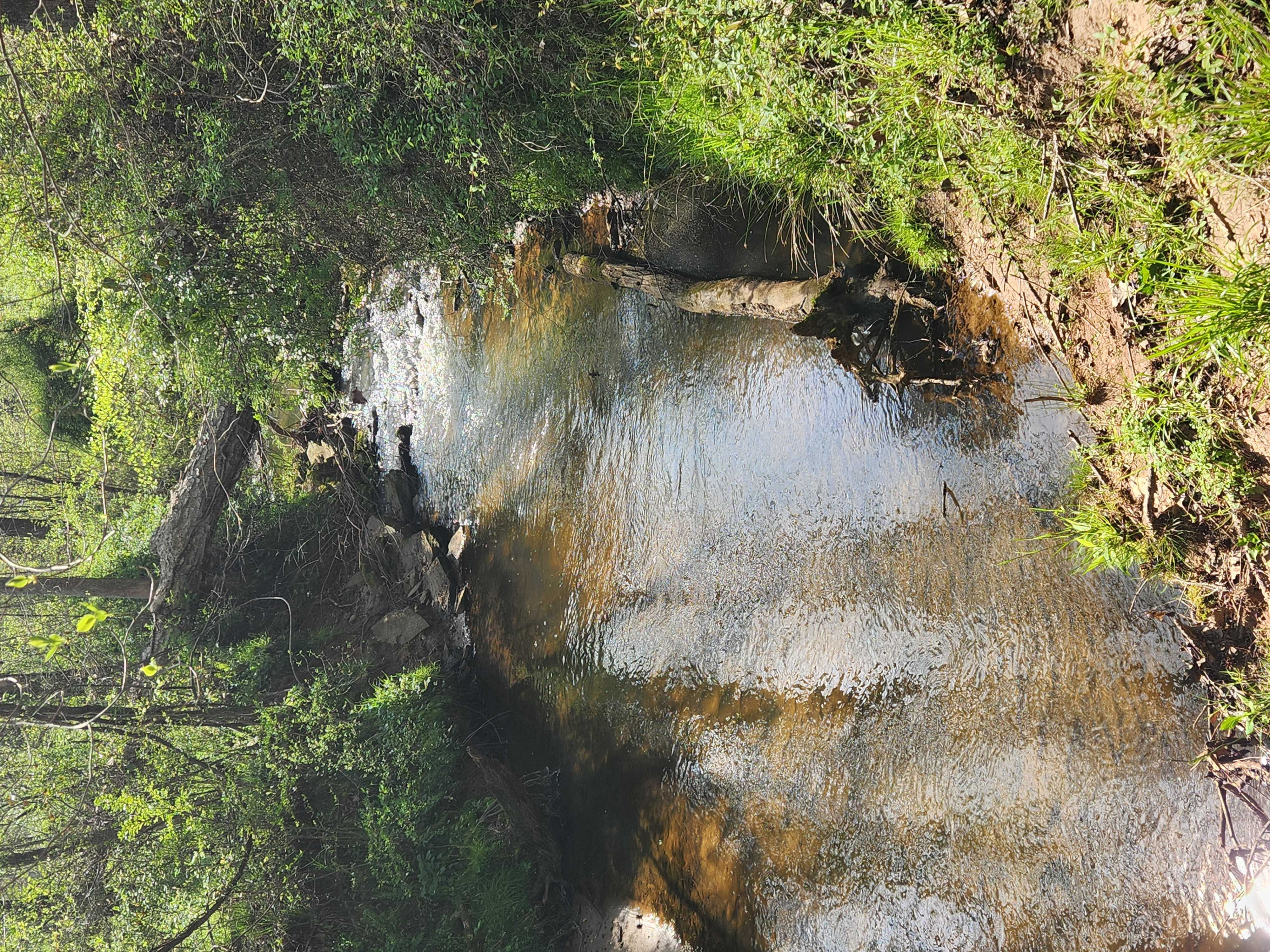 301 Seven Springs Loop, Statesville, NC, 28677 - Thumbnail 4