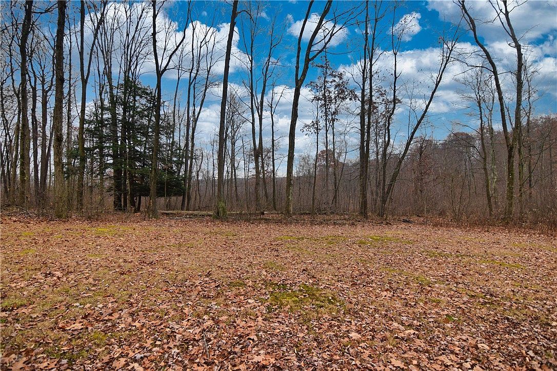 3172 Old Route 8 Polk, PA 16342 - Thumbnail 4